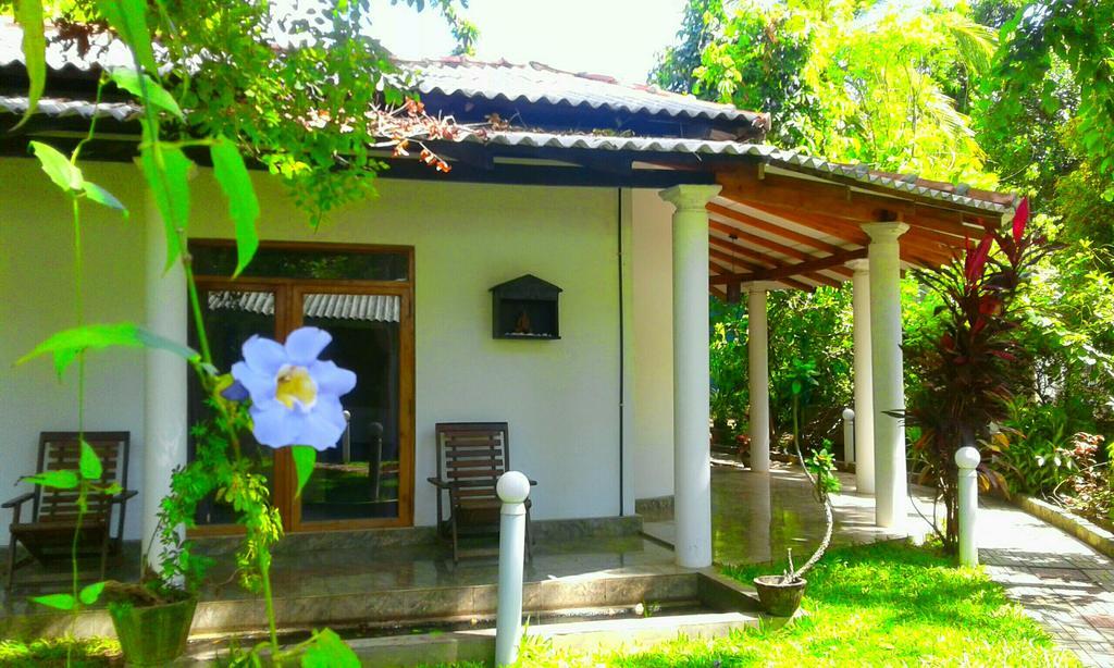 River Retreat 시기리야 외부 사진